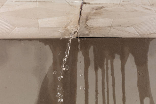 Professional Structural Drying technician working in Lincoln, ME